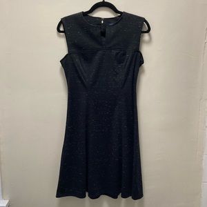 NWOT Business Formal Dress
